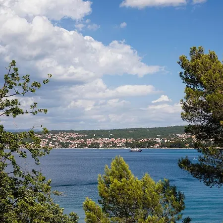 Ana Apartament